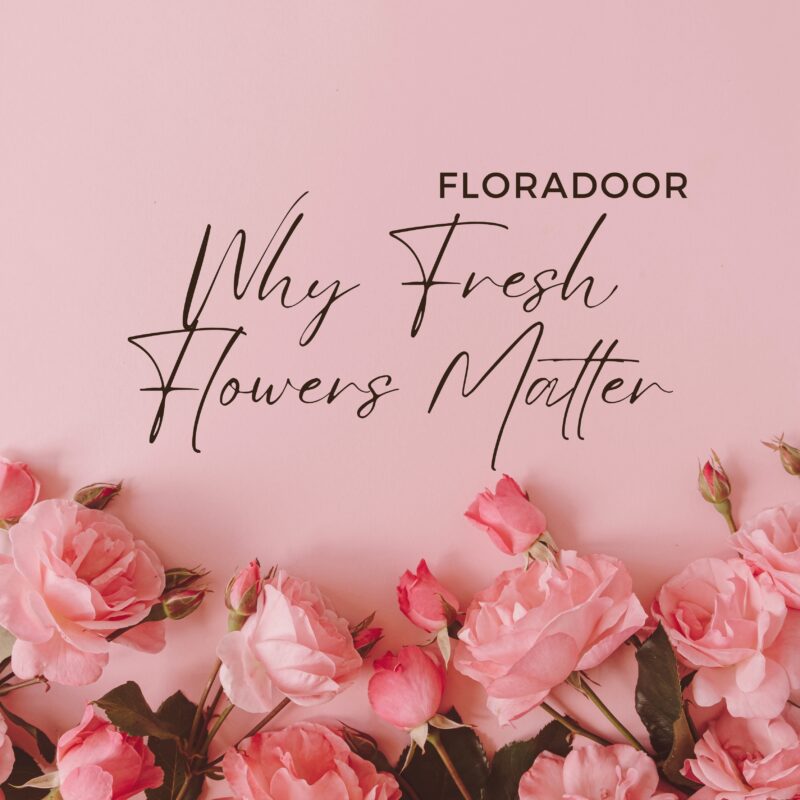 Why Fresh Flowers Matter Choosing Quality Arrangements with Floradoor