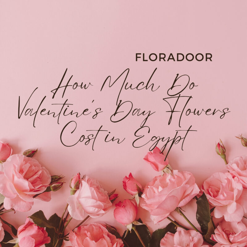 How Much Do Valentine’s Day Flowers Cost in Egypt