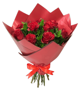 I’m Sorry or Reconnecting Flowers