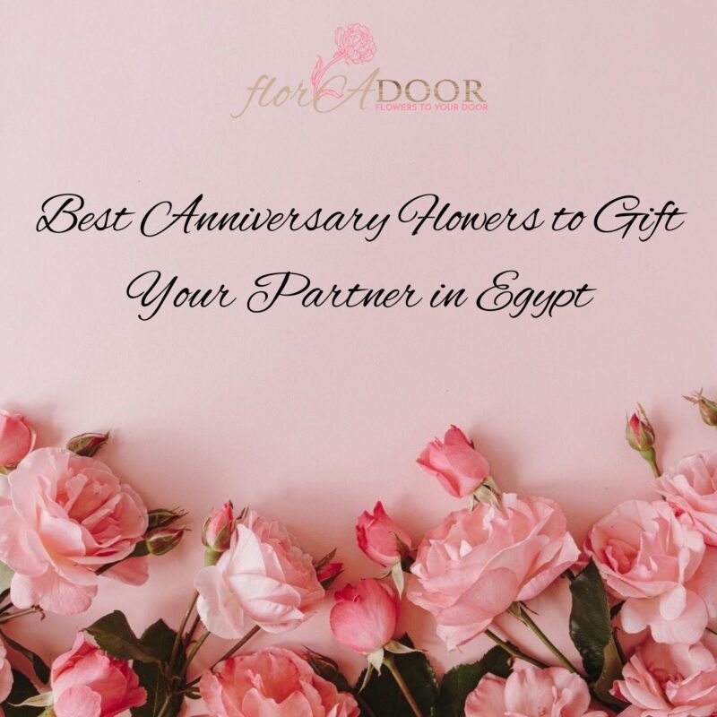 Best Anniversary Flowers to Gift Your Partner in Egypt
