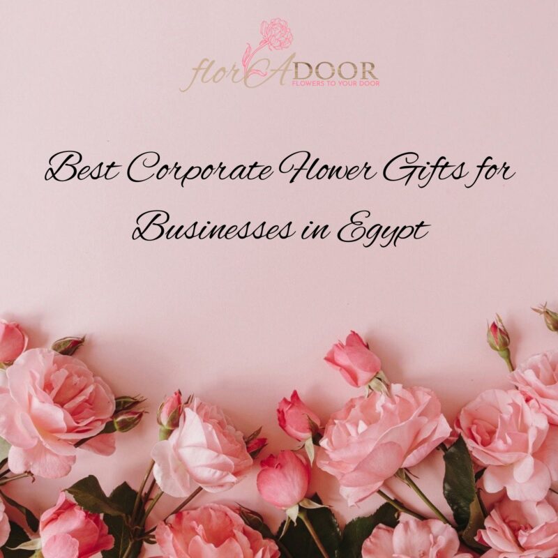 Best Corporate Flower Gifts for Businesses in Egypt