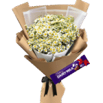 Matricaria daisy flower bouquet
