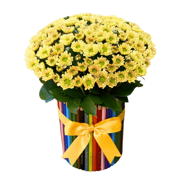 A collection of colored pencils arranged together as a gift in a vase with lovely chrysanthemum flowers.