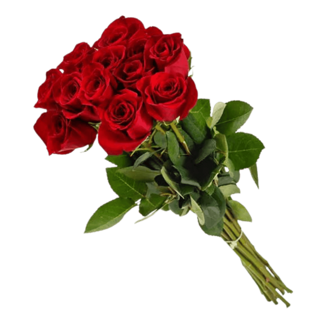 Red Roses bunch