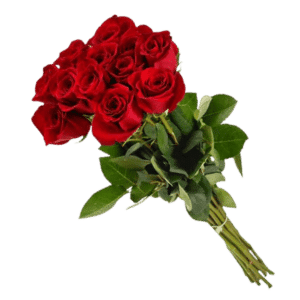 Red Roses bunch