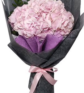 A flower bouquet of pink hydrangea flower